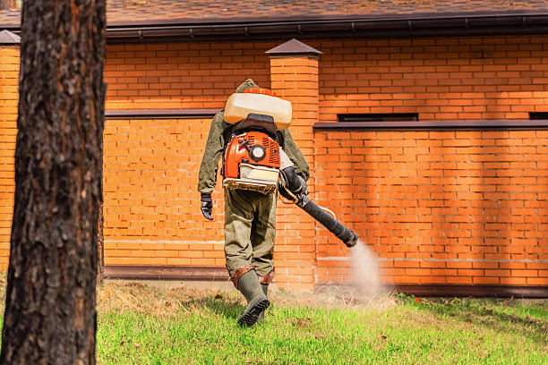Trusted Ant Control service in Bear Creek, AL - Nex Pest Control